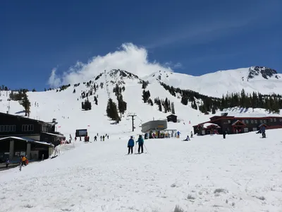 20190517_135502 (Large).jpg